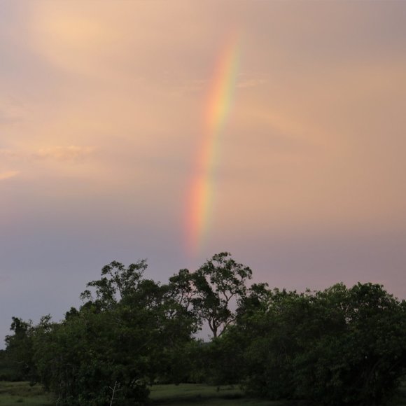 Meet your Posher, Elle - Picture 1 of 1